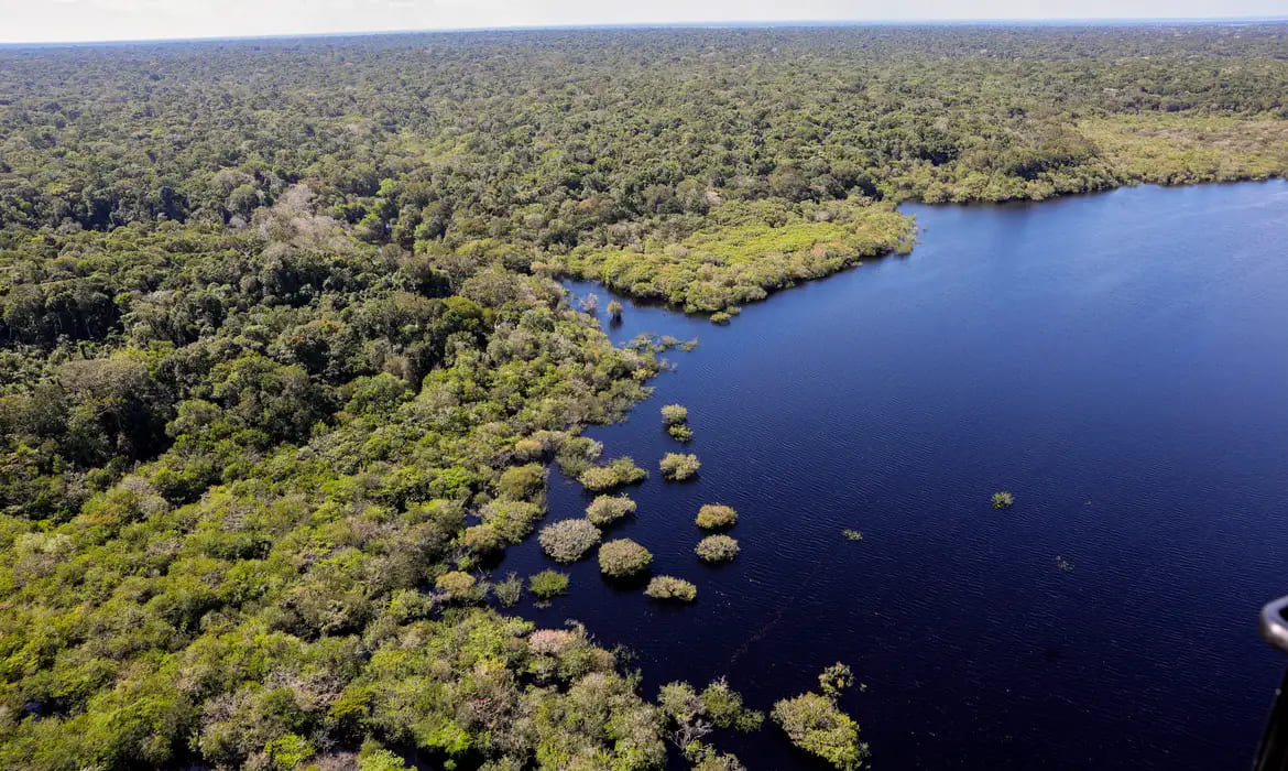 Fundo Amazônia bate recorde