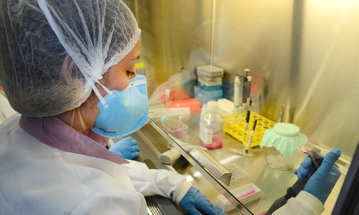 USP: pesquisa de vacina contra zika avança em testes