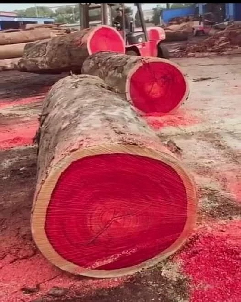 BRASIL: VERMELHO COMO BRASA