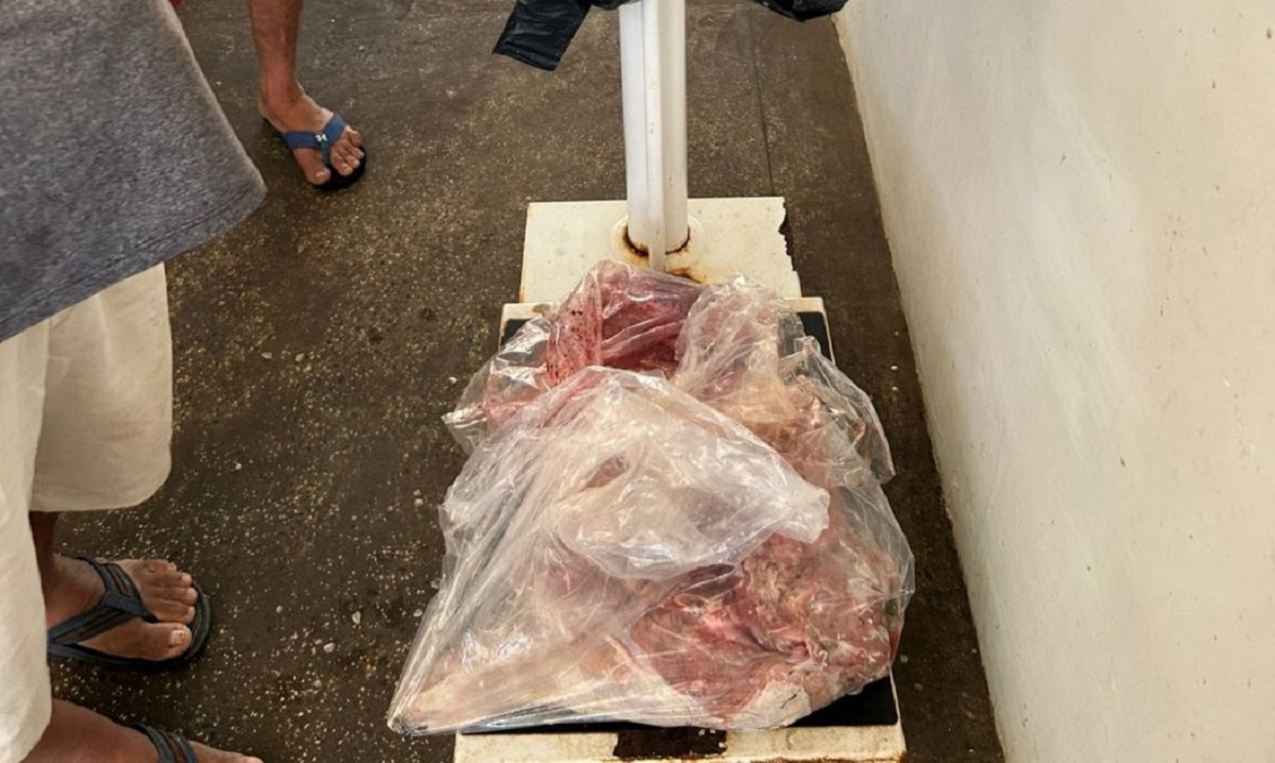 Ipaam apreende carne de capivara comercializada ilegalmente