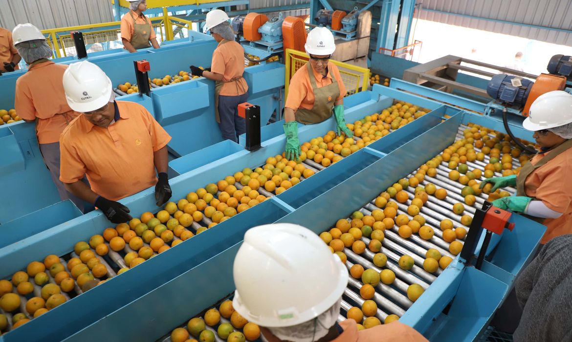 Confira a lista de quase 700 produtos que não serão taxados
