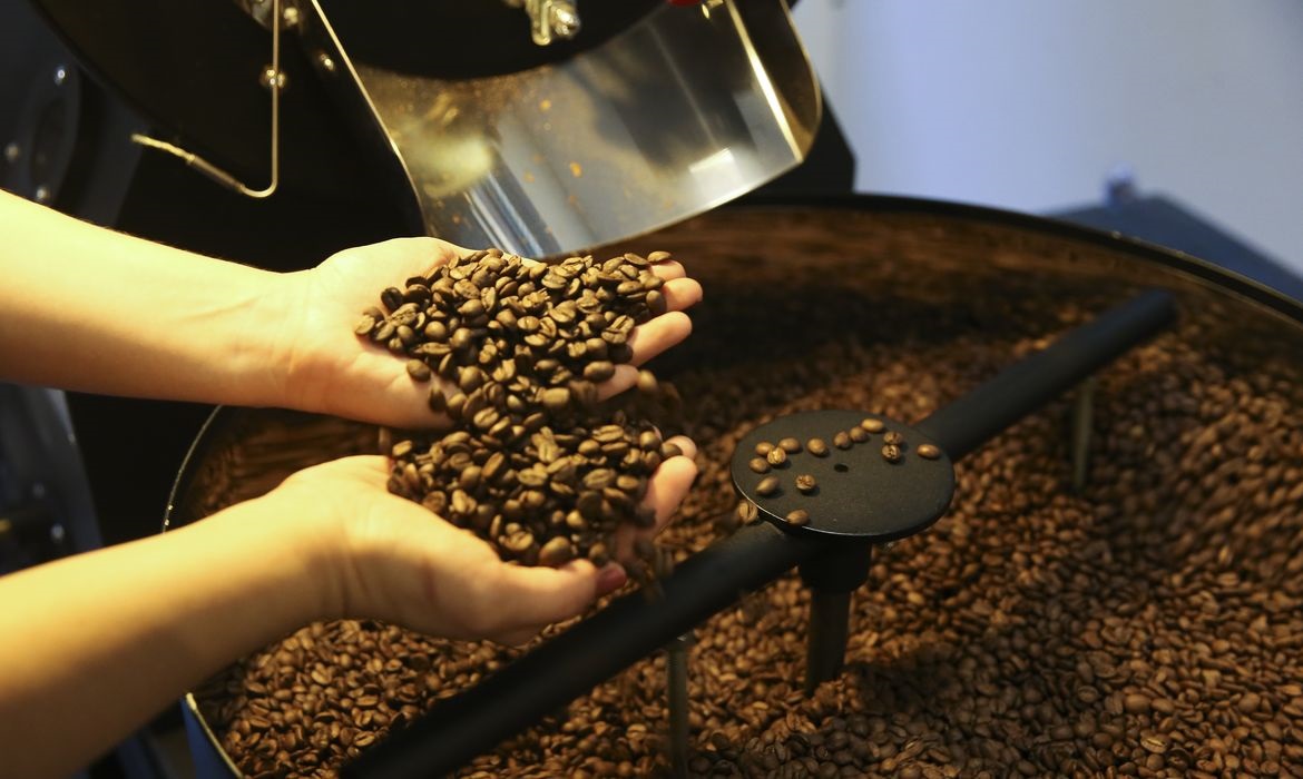 Setor cafeeiro pode ser forçado a redirecionar produção