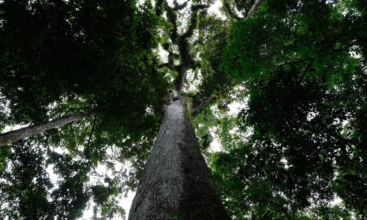 Lula sanciona lei do licenciamento ambiental