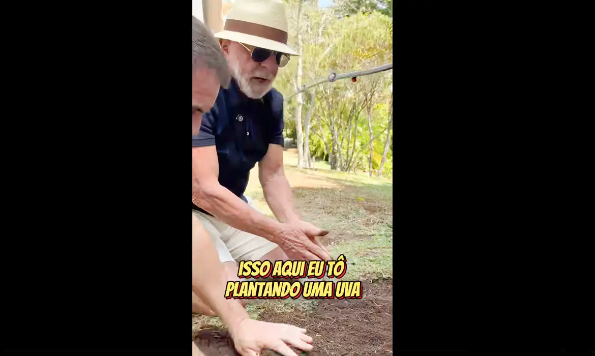 Em vídeo a Trump, Lula planta uva e diz semear comida