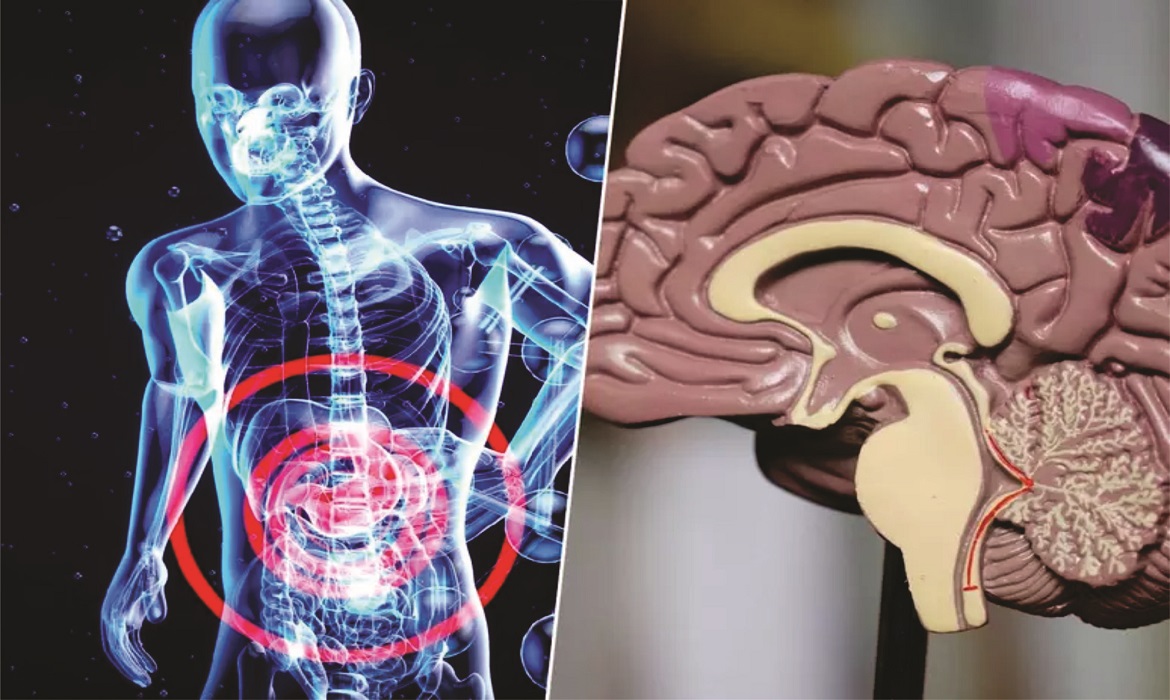 O corpo alerta para o Alzheimer muito antes do cérebro