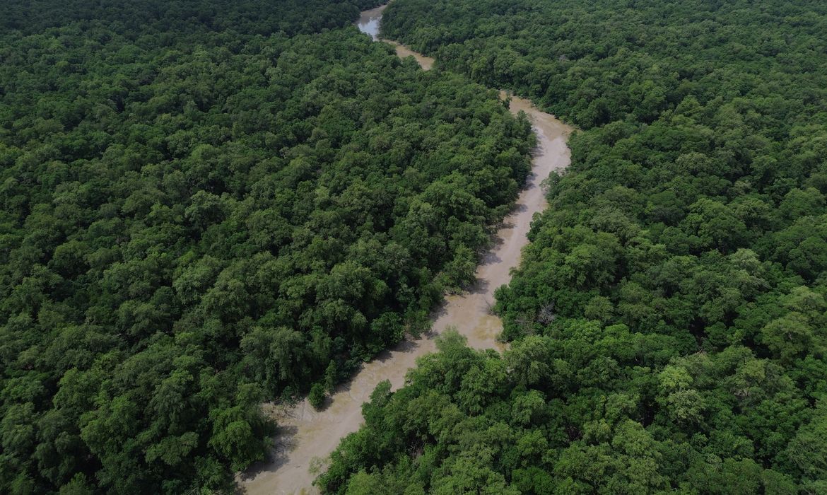 Programação do Dia da Amazônia mobiliza