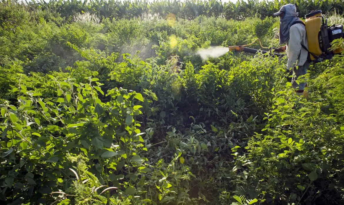 Campanha denuncia agronegócio por contaminações
