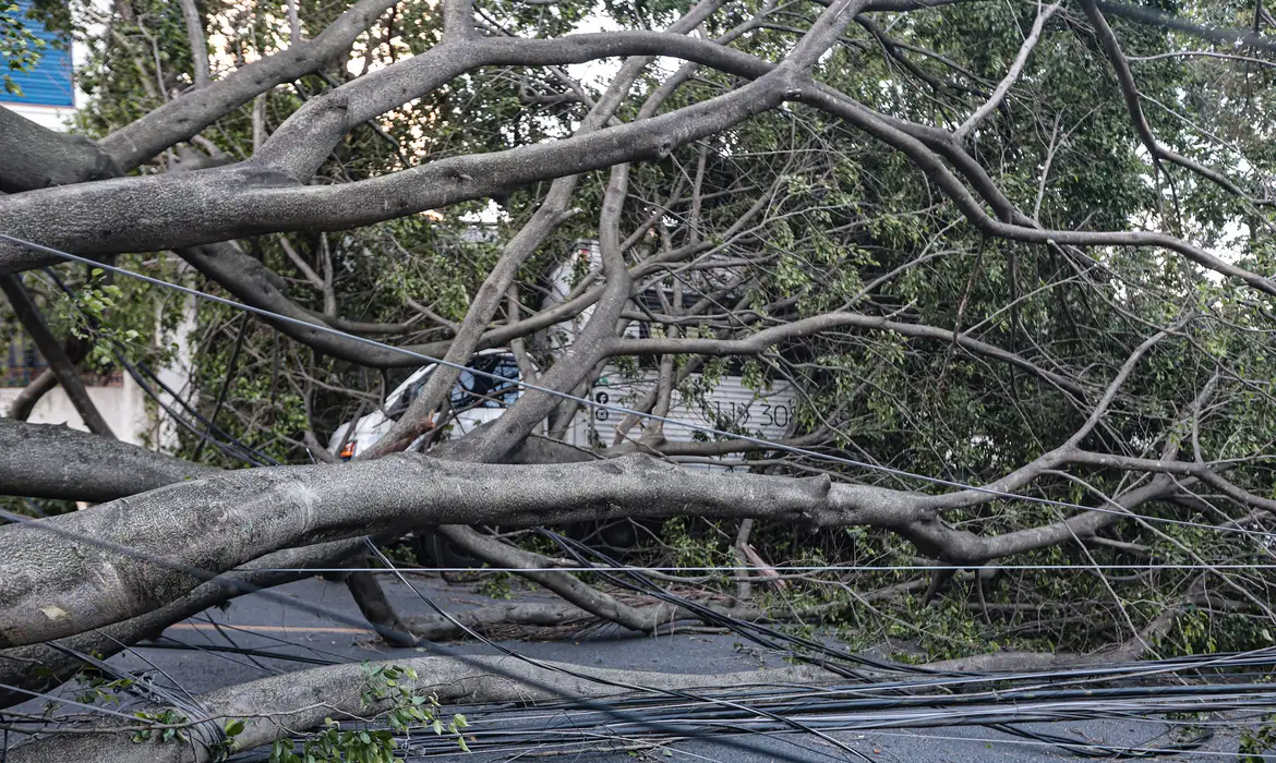 Volta a chover em São Paulo