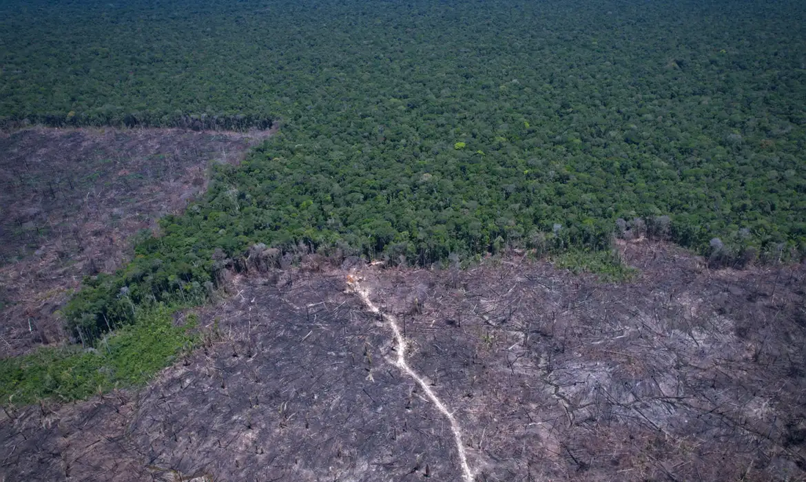 Amazônia Legal: desmatamento prevalece