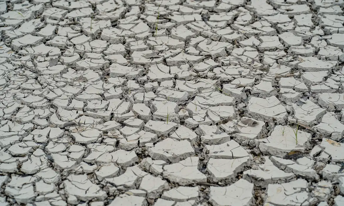 Estiagem: quinze cidades têm situação de emergência