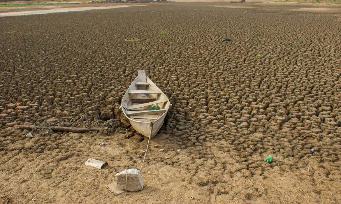 Brasil promete restaurar 163 mil km² de terras