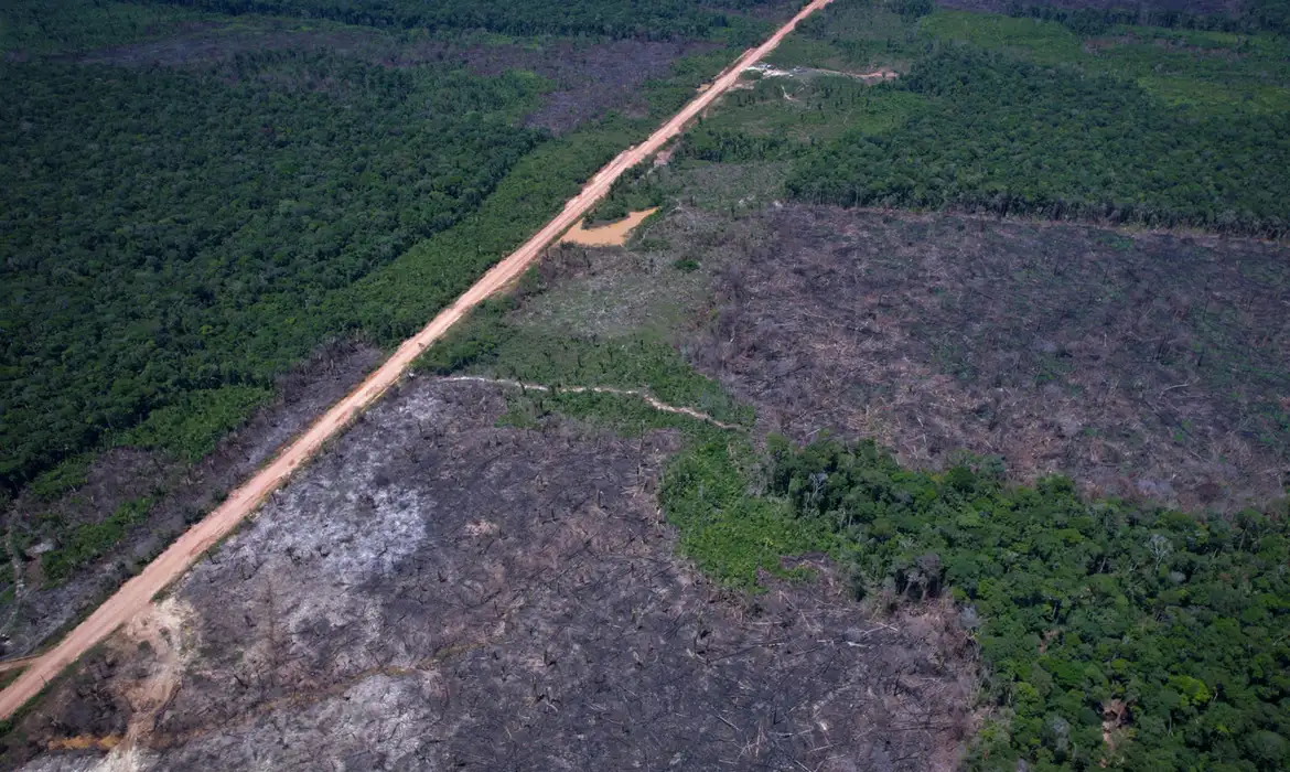 Desmatamento na Amazônia cai 36,87%