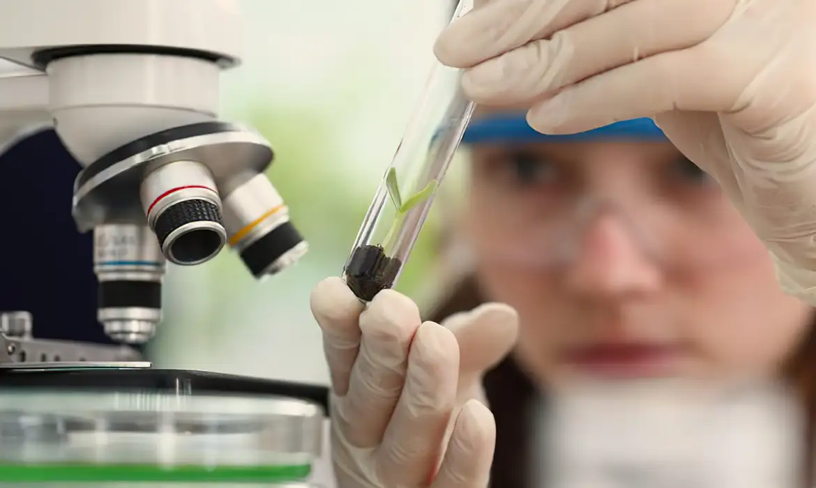 Prêmio para mulheres e meninas cientistas
